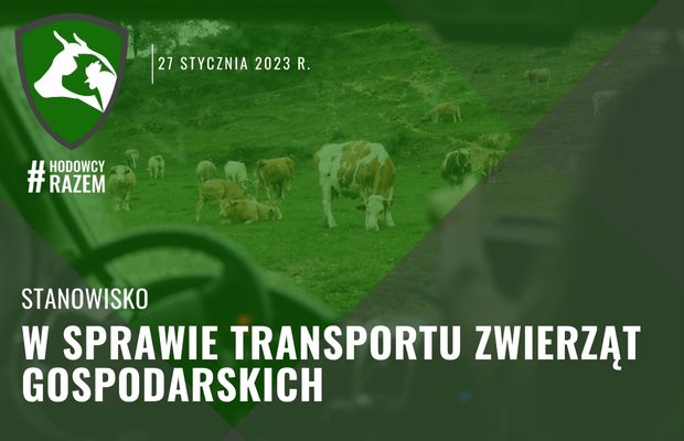 Stanowisko #HodowcyRazem w sprawie transportu zwierząt gospodarskich