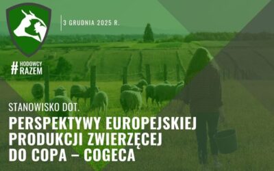 Stanowisko dot. perspektywy europejskiej produkcji zwierzęcej do Copa – Cogeca