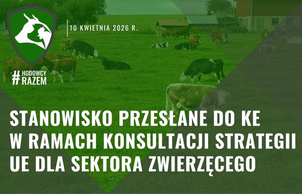 Stanowisko przesłane do Komisji Europejskiej w ramach konsultacji strategii UE dla sektora zwierzęcego