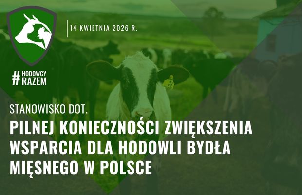 Stanowisko dot. pilnej konieczności zwiększenia wsparcia dla hodowli bydła mięsnego w Polsce